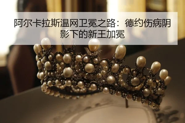 a-er-ka-la-si-wen-wang-wei-mian-zhi-lu-de-yue-shang-bing-yin-ying-xia-de-xin-wang-jia-mian-2-201.jpg