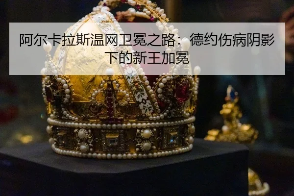 a-er-ka-la-si-wen-wang-wei-mian-zhi-lu-de-yue-shang-bing-yin-ying-xia-de-xin-wang-jia-mian-3-507.jpg