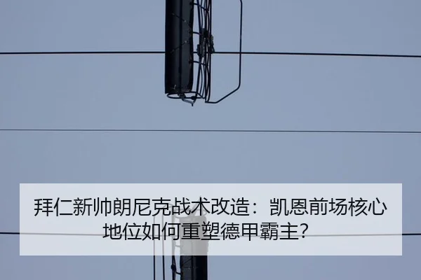 拜仁新帅朗尼克战术改造：凯恩前场核心地位如何重塑德甲霸主？